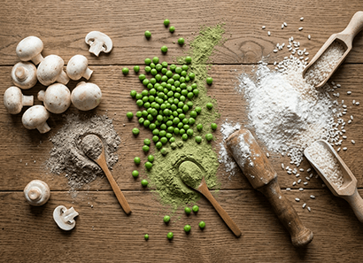 Mushrooms superfoods and protein